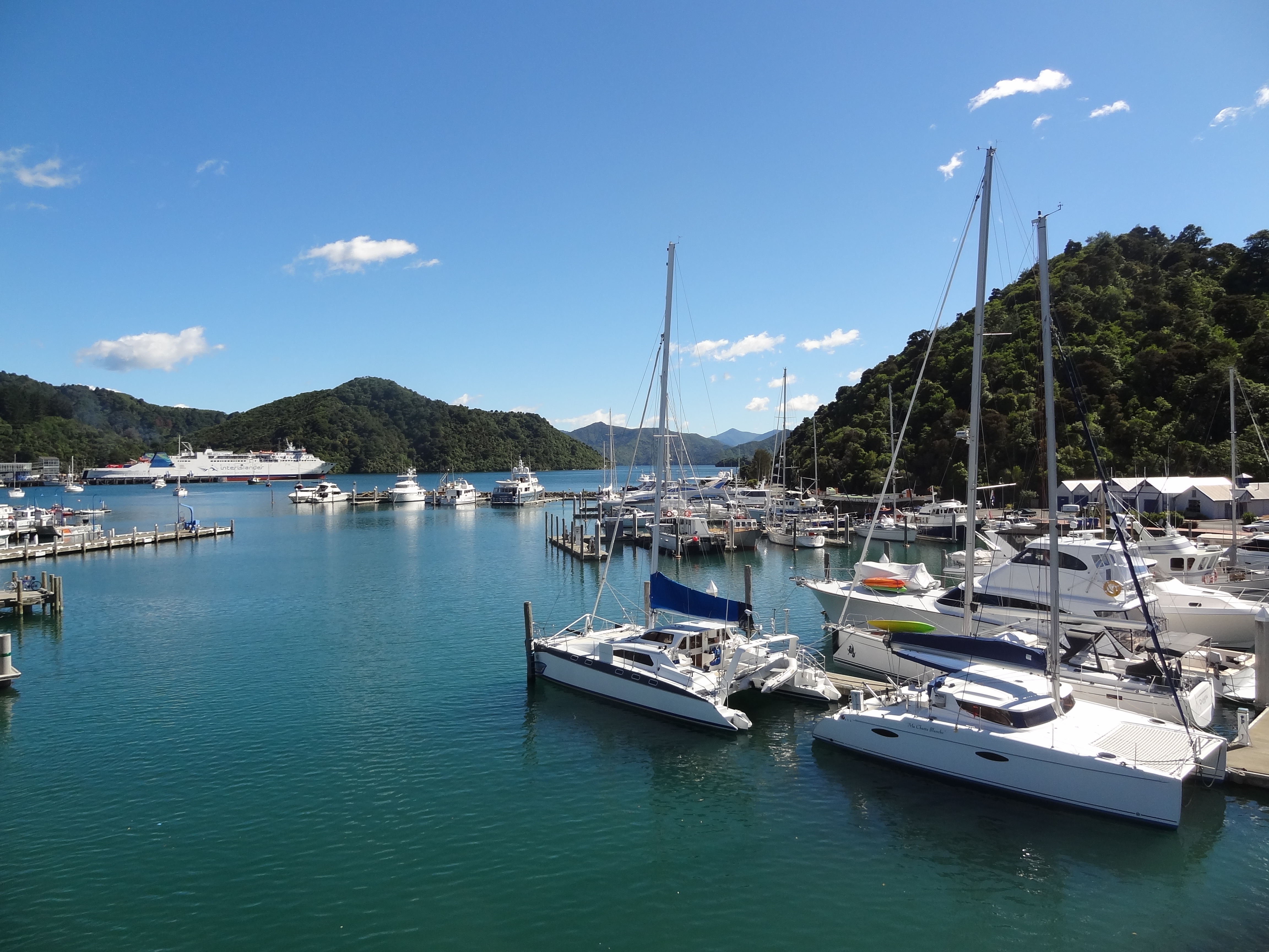 Picton, not the scruffy port town we had half expected. The big boat on the far side is one of the inter-island ferries.