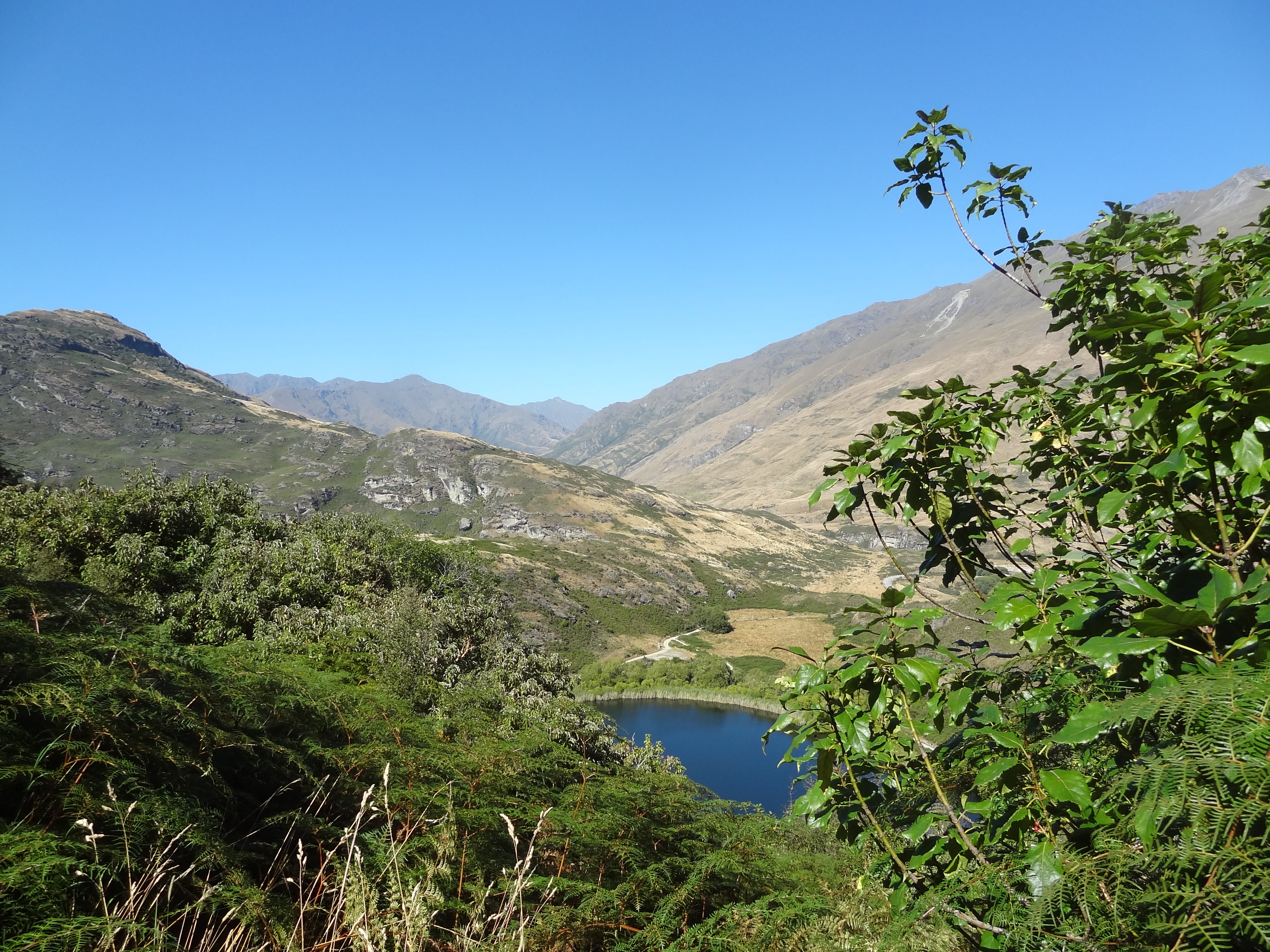 Diamond Lake