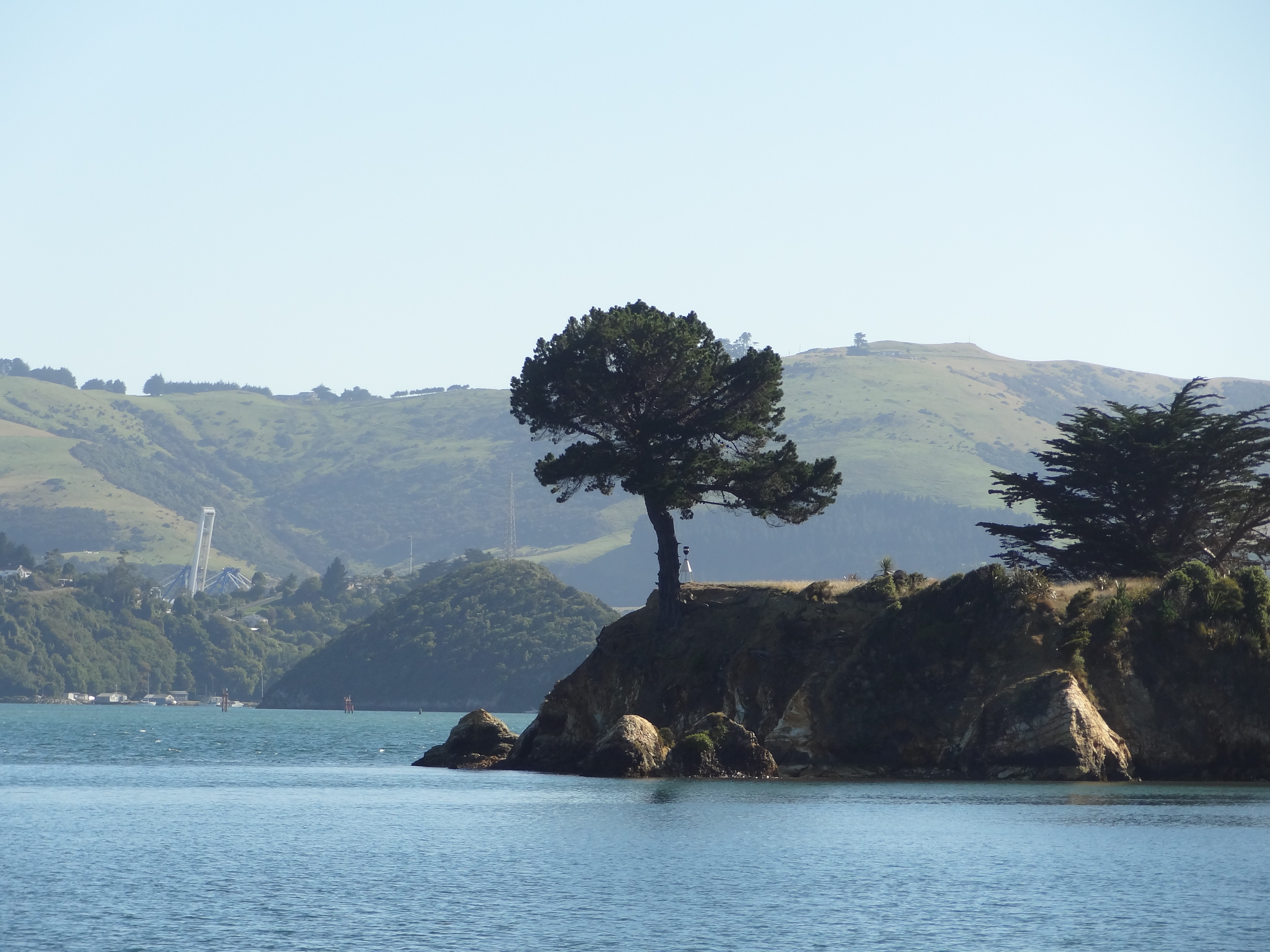 Otago Peninsular