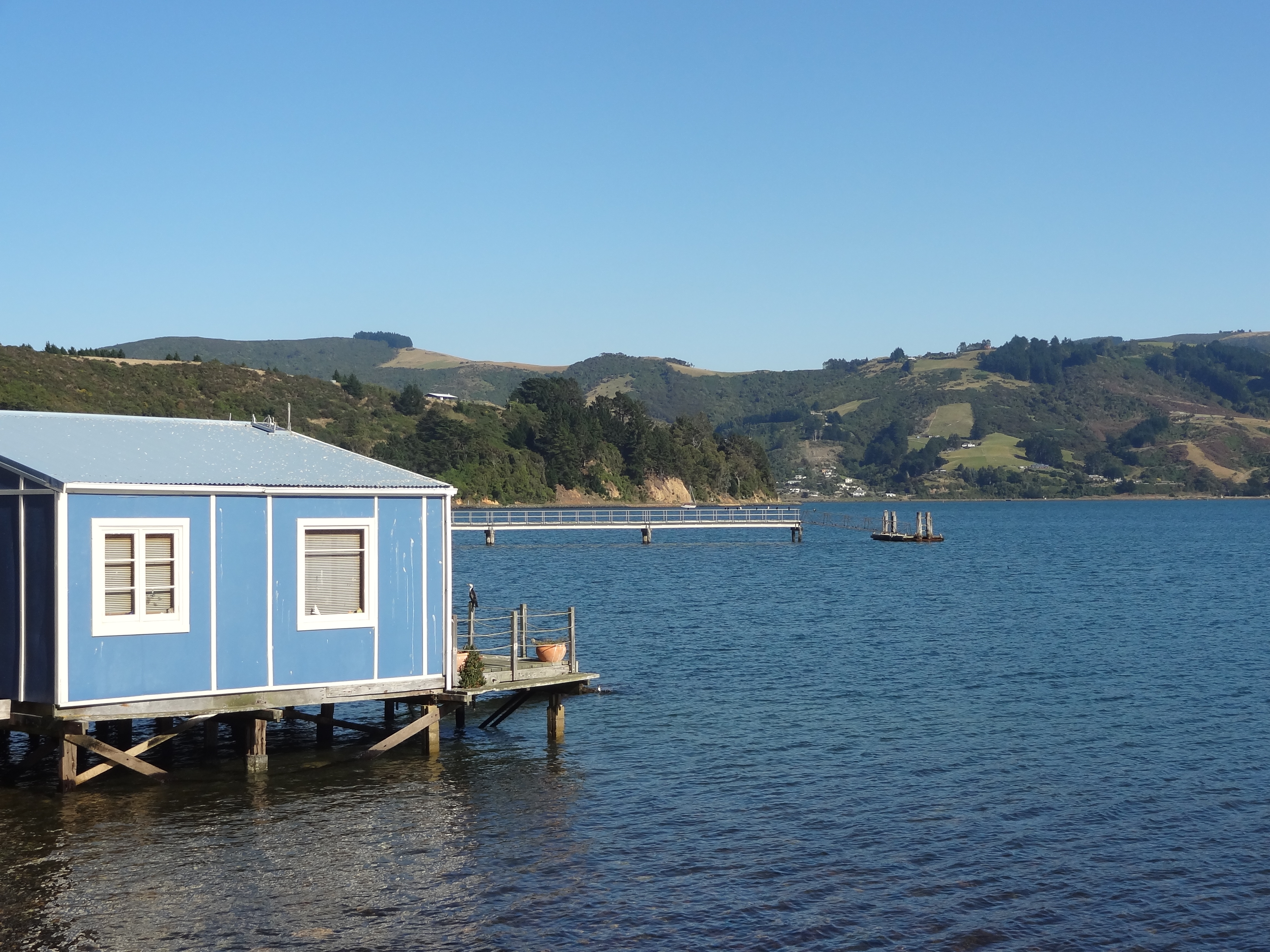 Otago Peninsula
