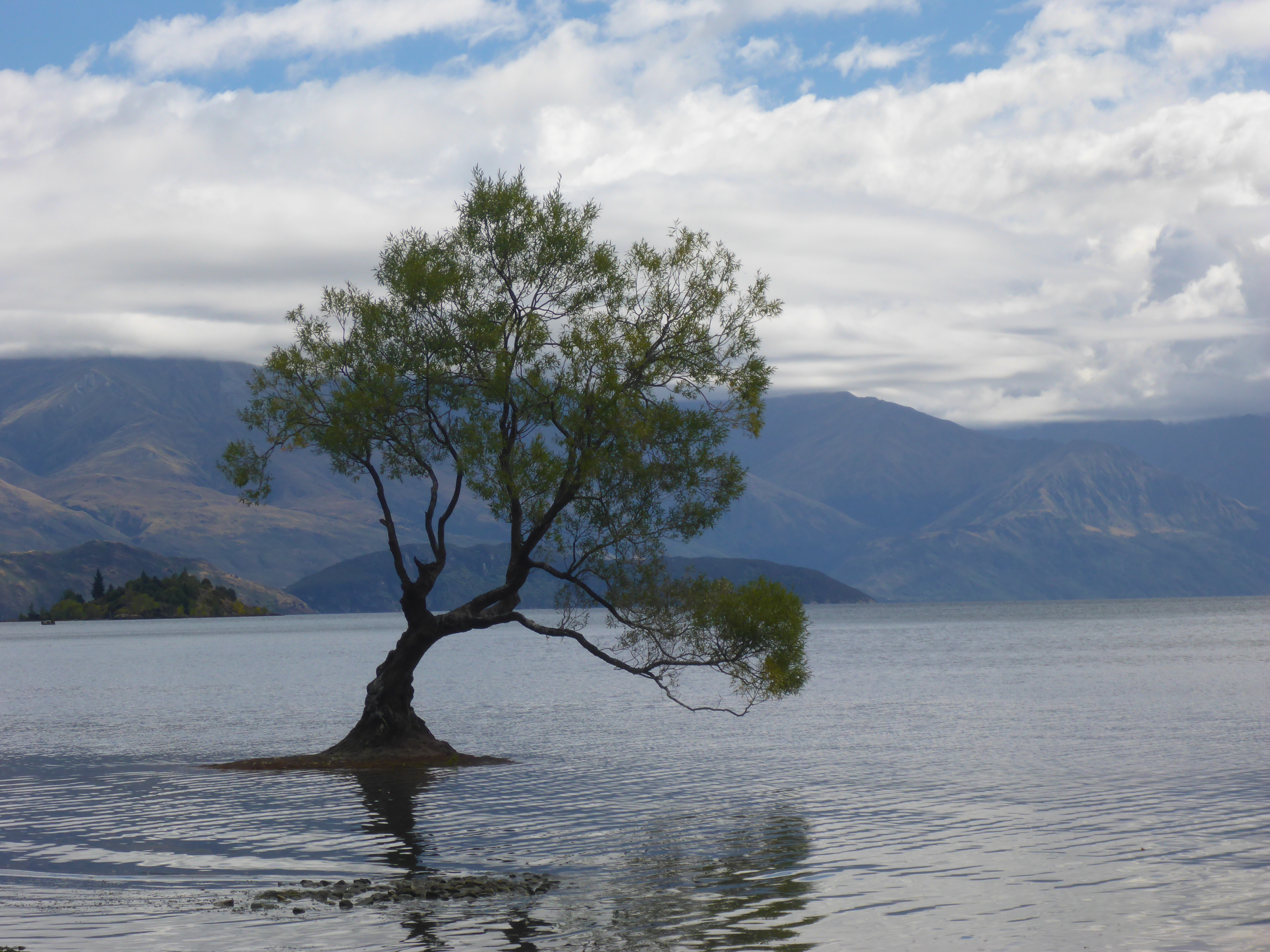 Lake Wanaka