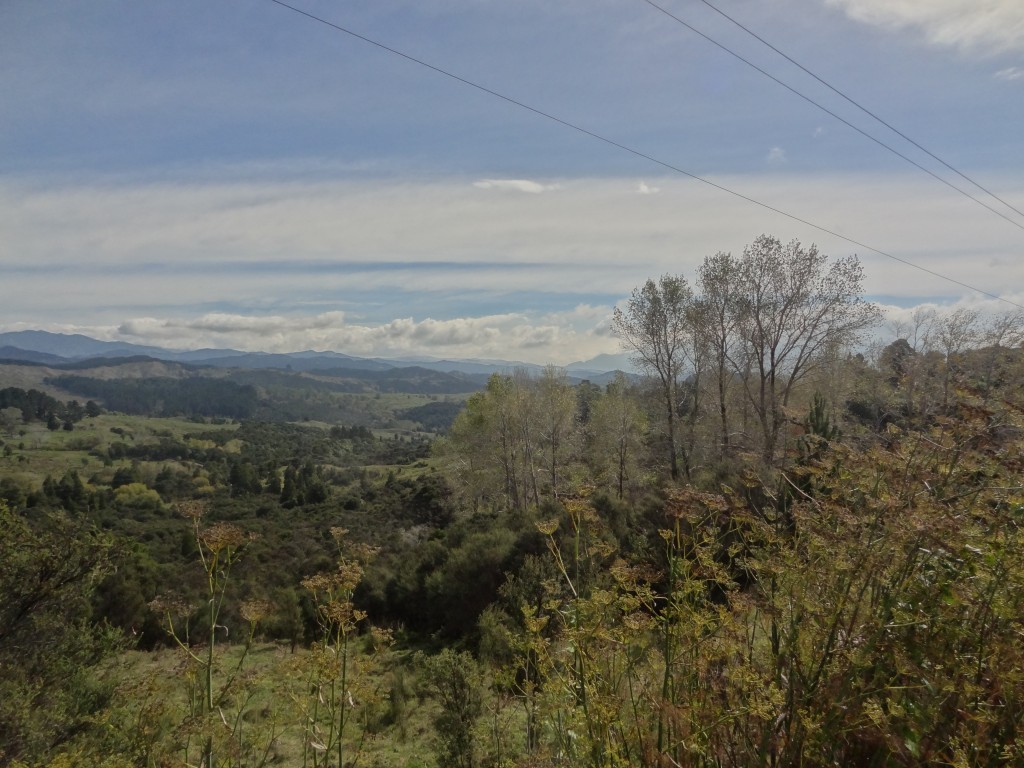 2015-04-08 12.58.15