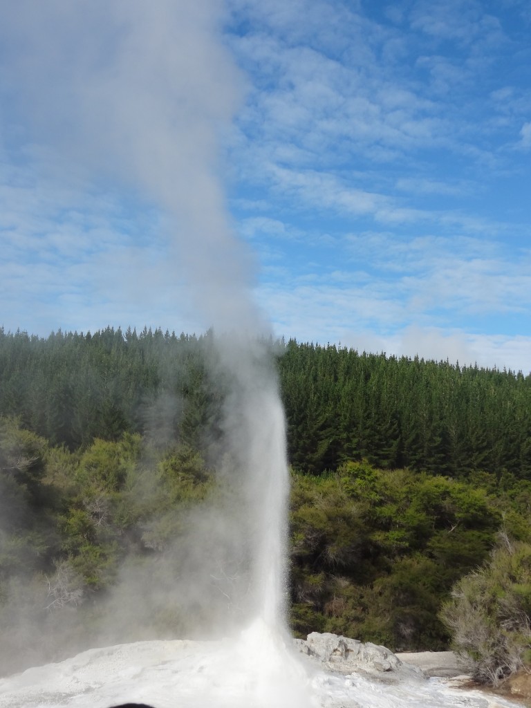 2015-04-22 10.23.16