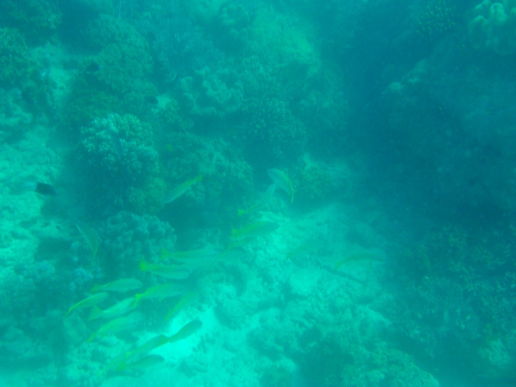 2015-07-07 11.09.43