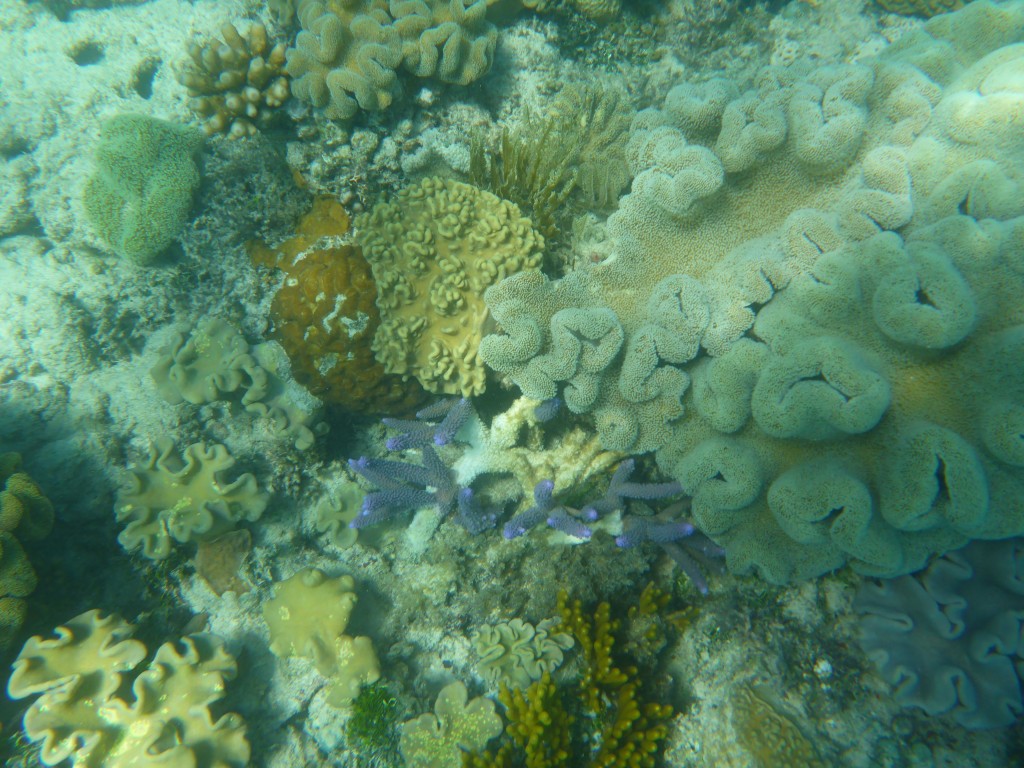 2015-07-07 11.28.25