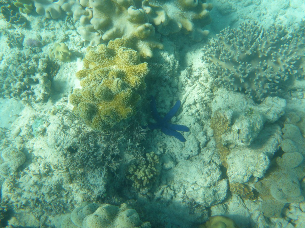 2015-07-07 11.29.13