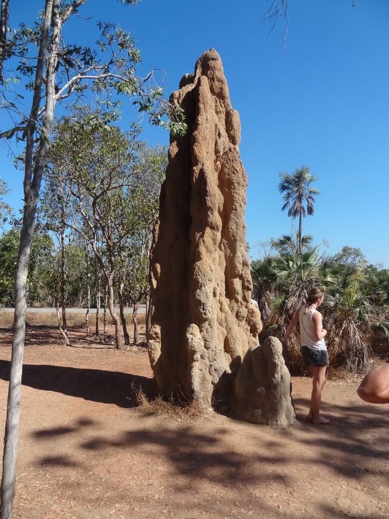 2015-07-17 10.35.56