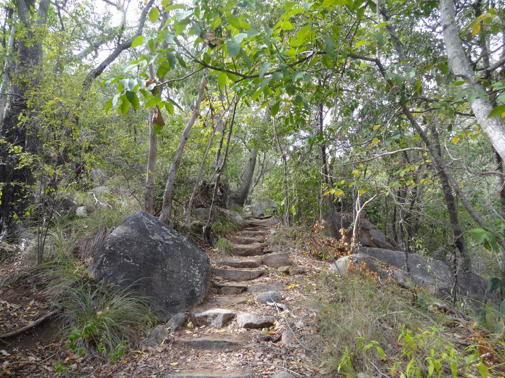 DSC06618