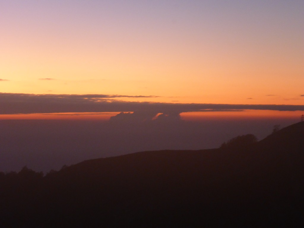 2015-07-25 07.13.20
