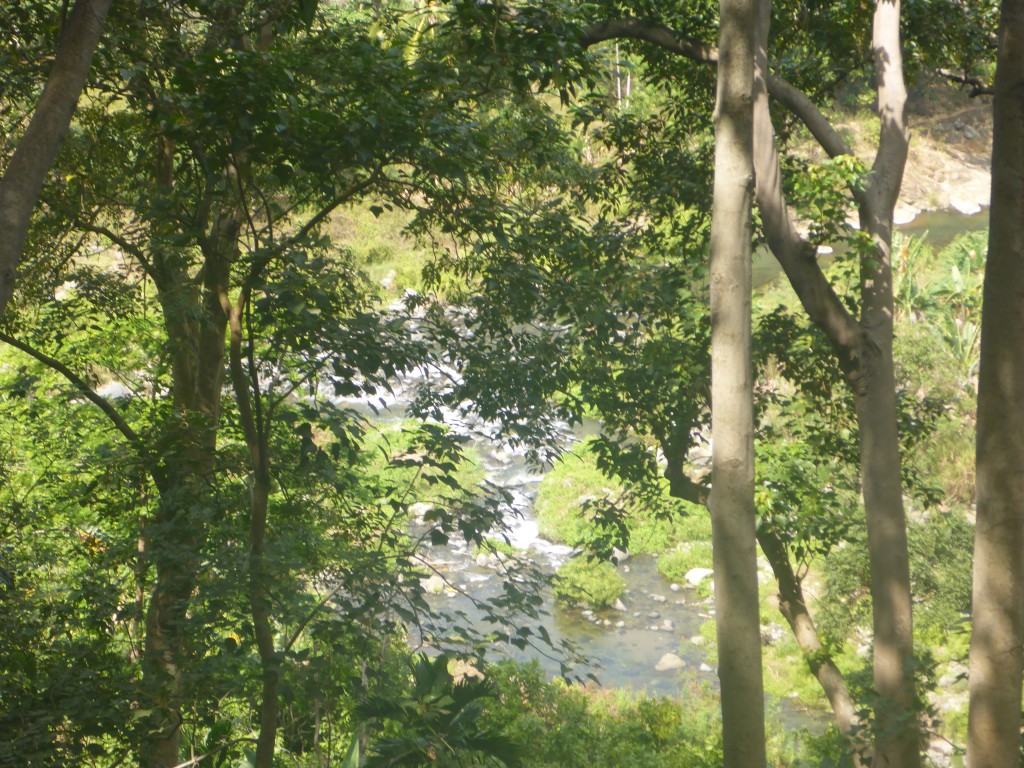 2015-07-25 12.35.56
