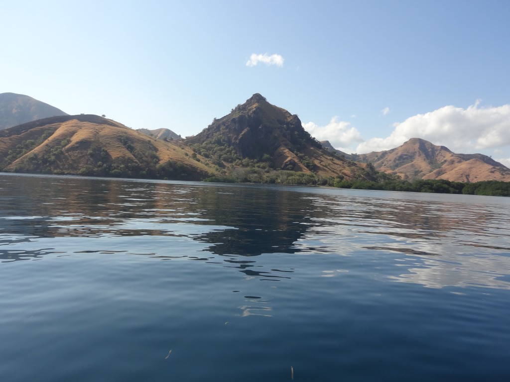 2015-07-29 09.07.05-4