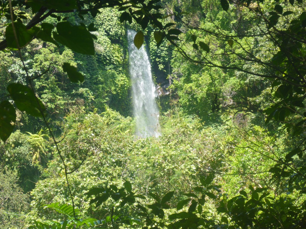2015-08-02 13.39.27