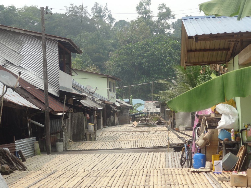 DSC09014