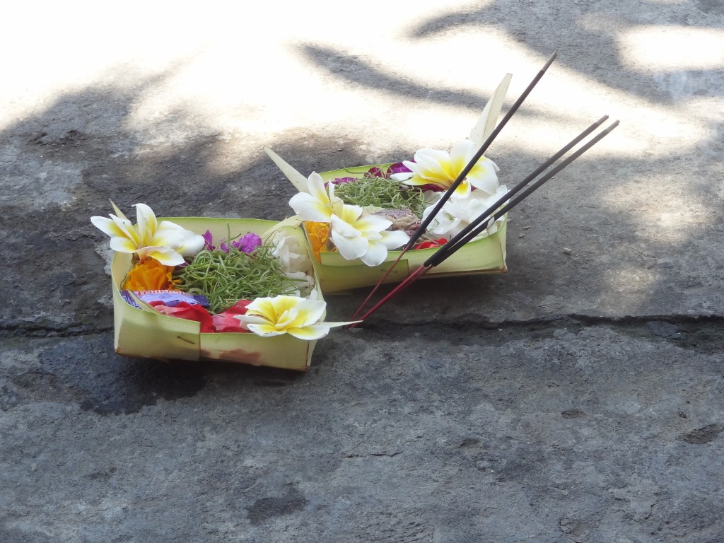 DSC00707