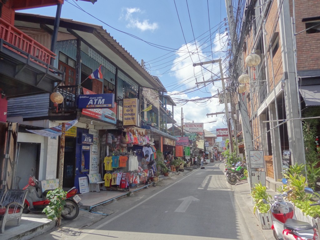 DSC01950
