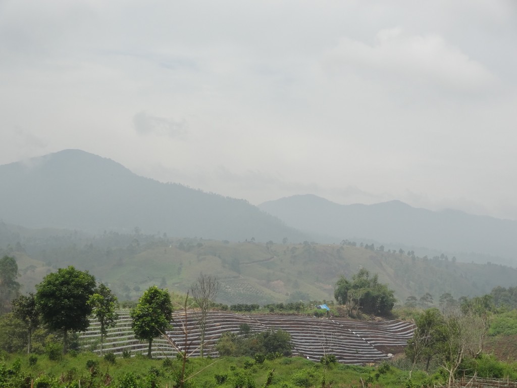 DSC09751