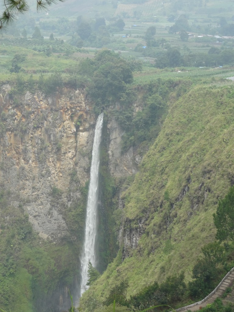 DSC09754