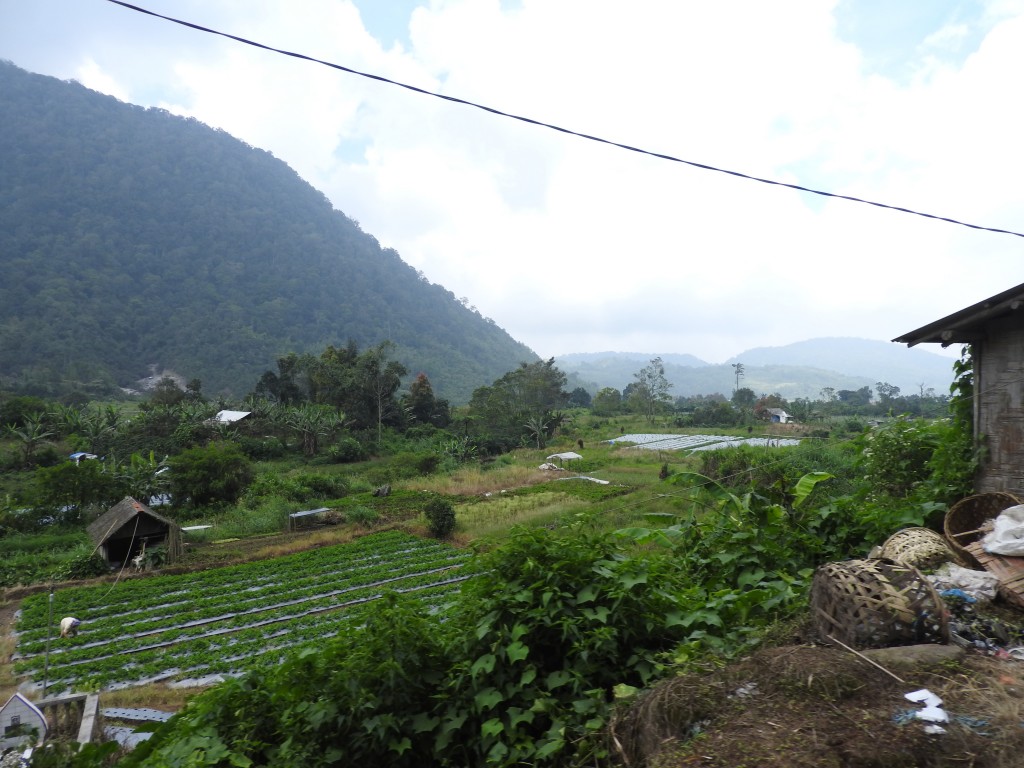 DSCN0957