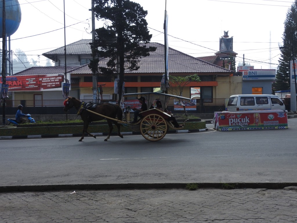DSCN1008