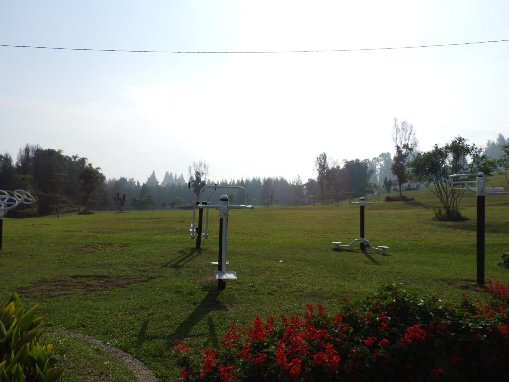 DSCN1010