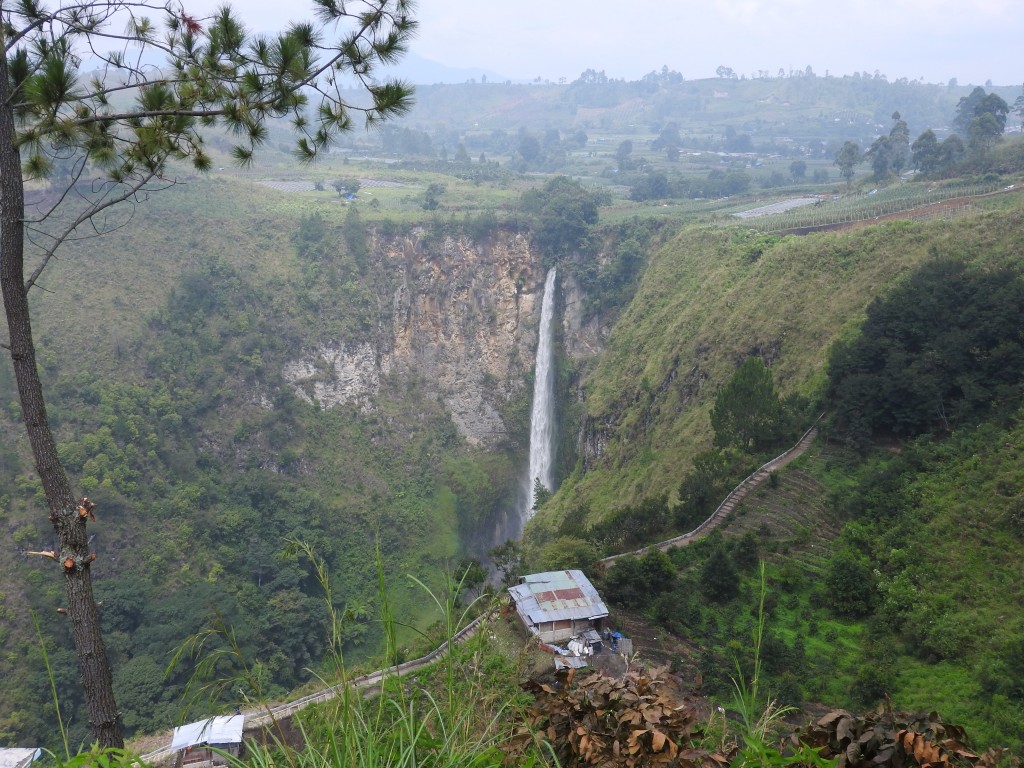 DSCN1040