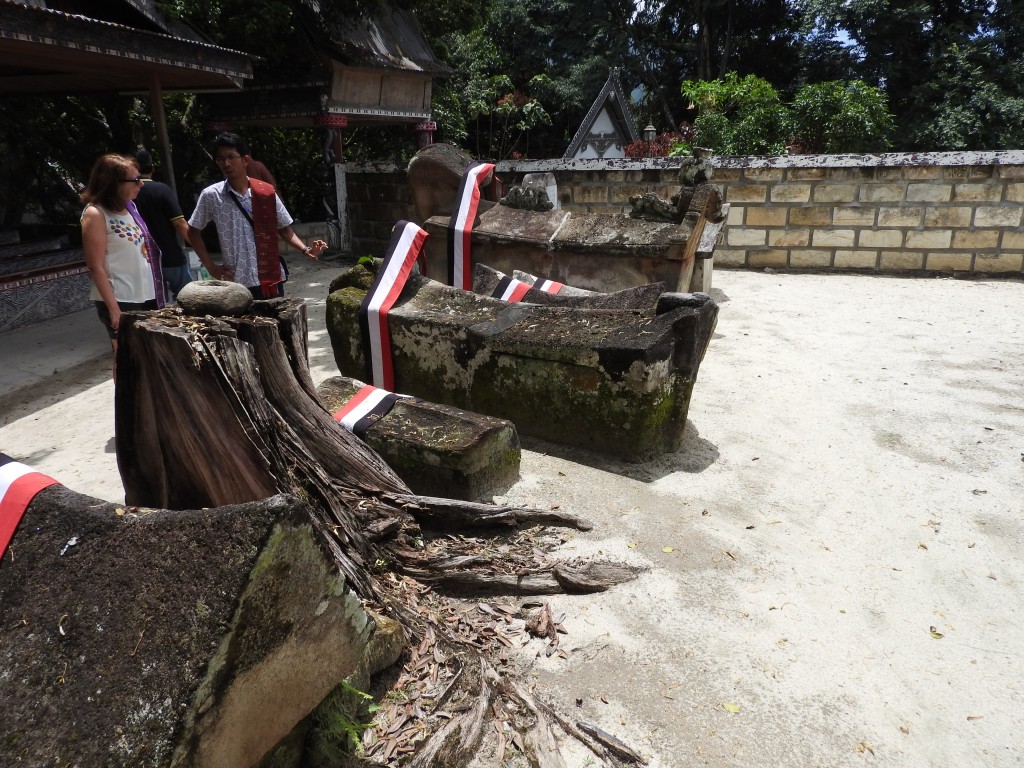 DSCN1181