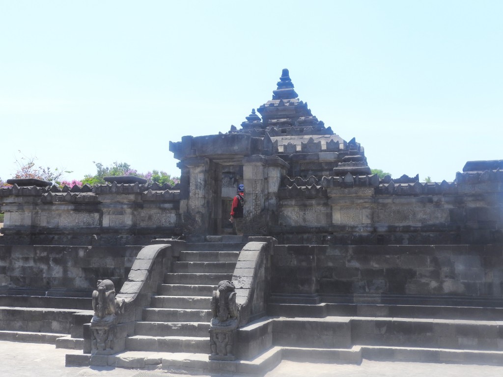 DSCN1754
