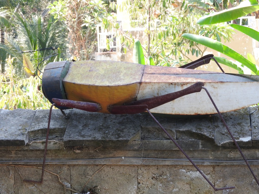 DSCN1969 (2)
