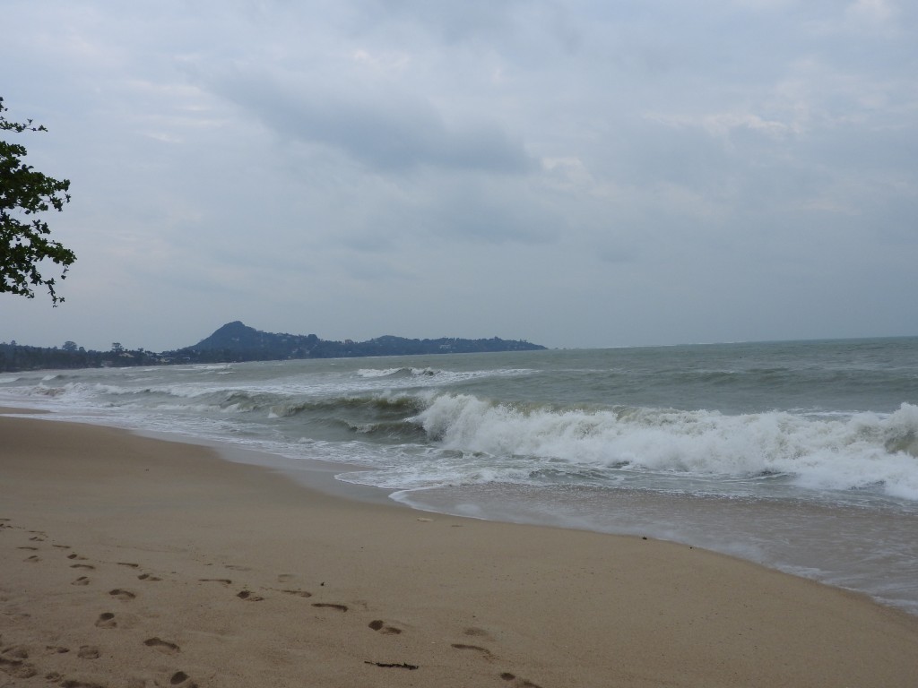 DSCN3688
