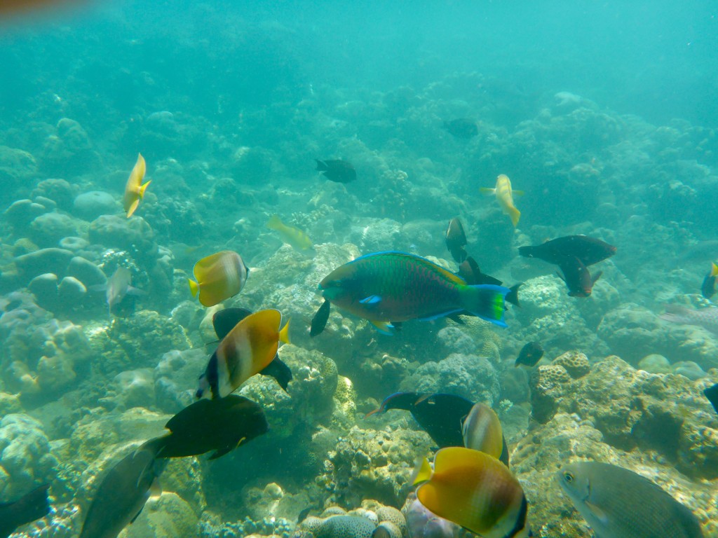 P1050556