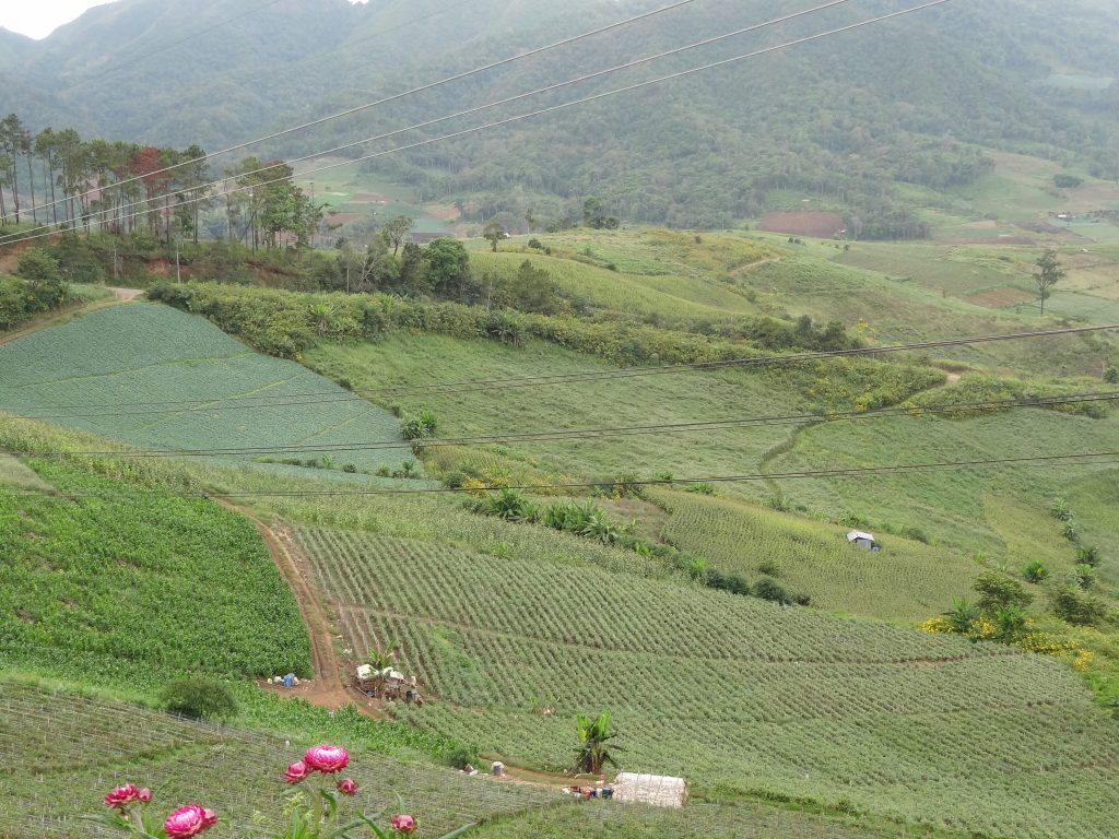 DSC01247