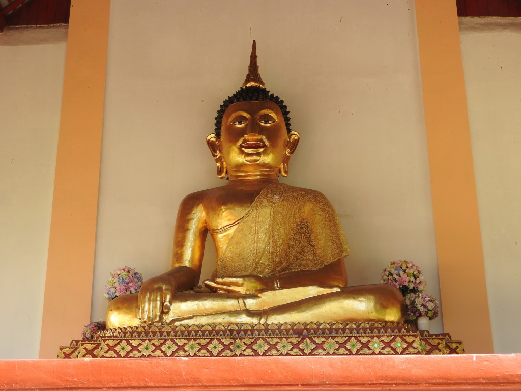 DSCN2664