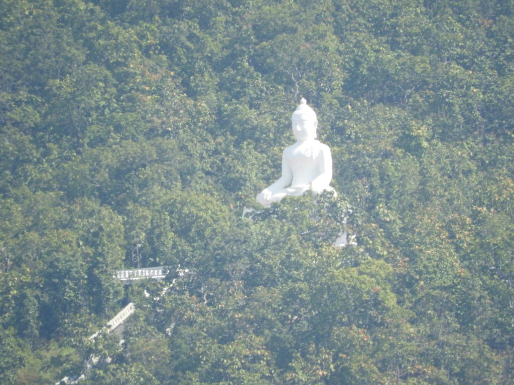 DSCN3199