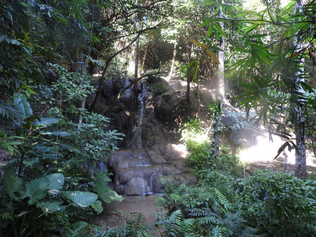 DSCN3407