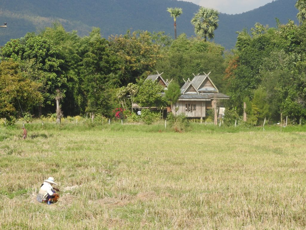 DSCN3524